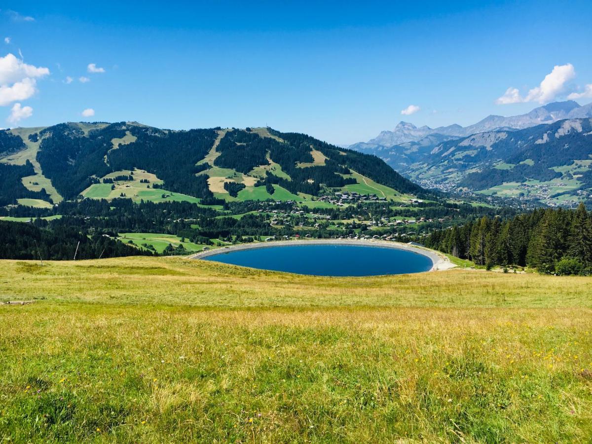 Apartamento Le Hameau Des Neiges Praz-sur-Arly Exterior foto